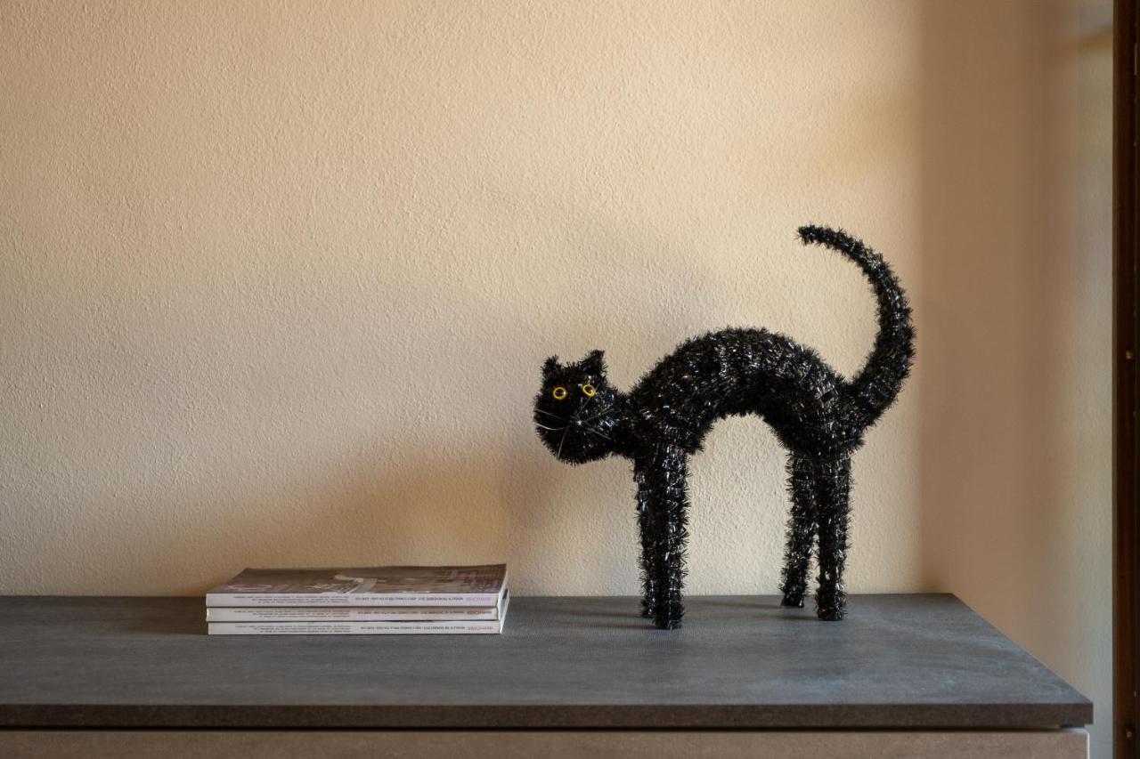 דירות פאראטיקו Casa Del Gatto מראה חיצוני תמונה